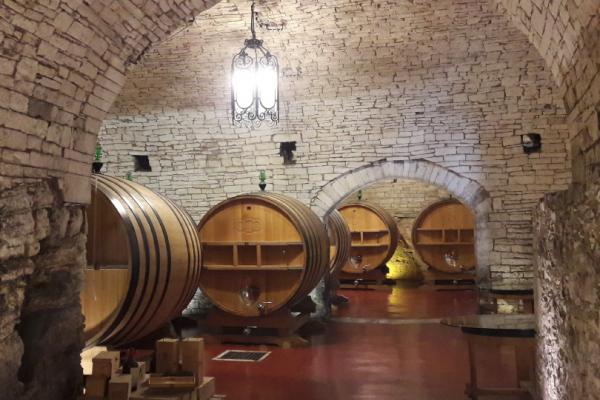 Puglia wine experience